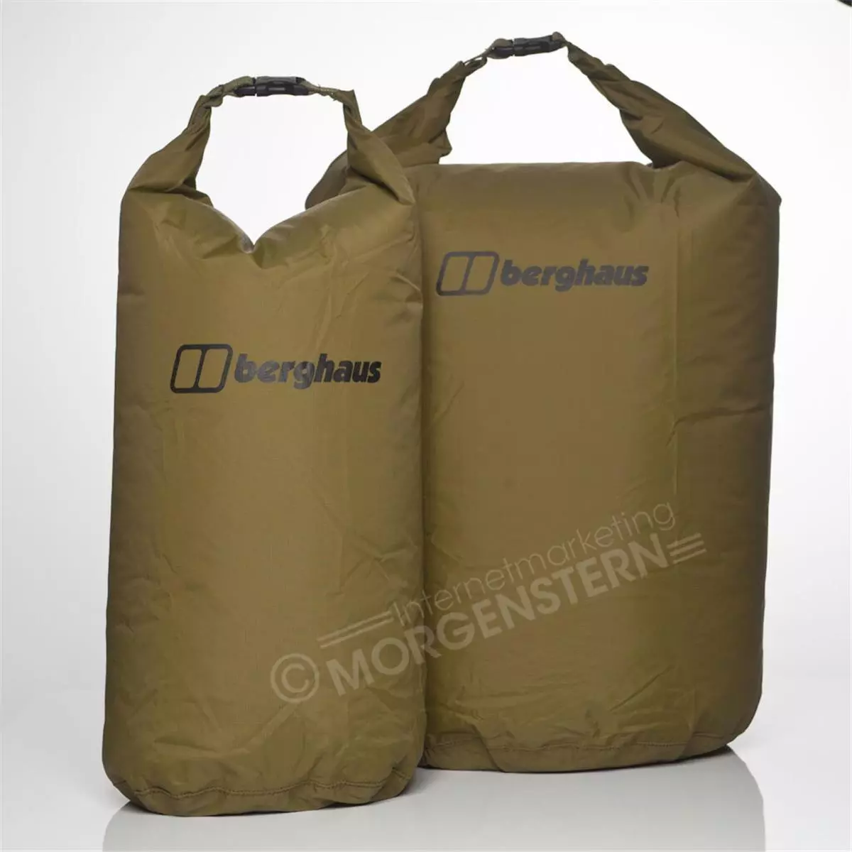 Ebay berghaus 2025