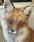 The Fiddler’s Elbow Fox Doorstop By Artist Amy Brackenbury — photo 4