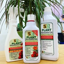 SB Plant Invigorator Bug Killer Spray: Concentrate 500ml / 1 Litre Unit Sizes