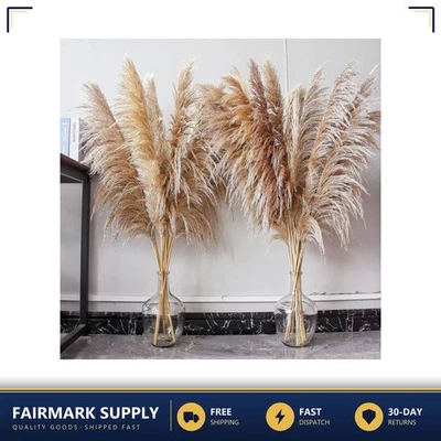 Ramo de flores secas decoración hierba pampeana alto 46 pulgadas beige 10 piezas - Imagen 1 de 4