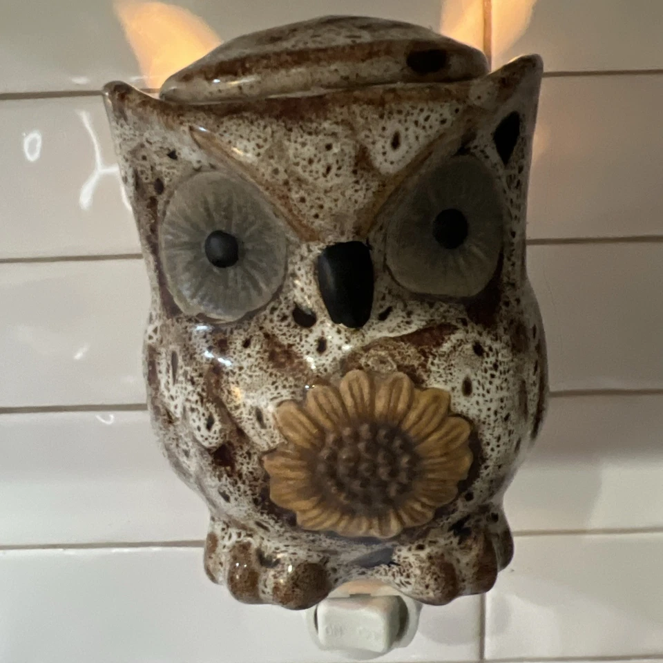 Calentador de cera enchufable de búho de cerámica aromático lindo leñoso decoración del hogar luz nocturna brillo Foto 3 de 4