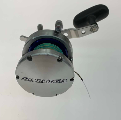 DAIWA Reel Saltiga Z30 Baitcast Saltwater Fishing RH
