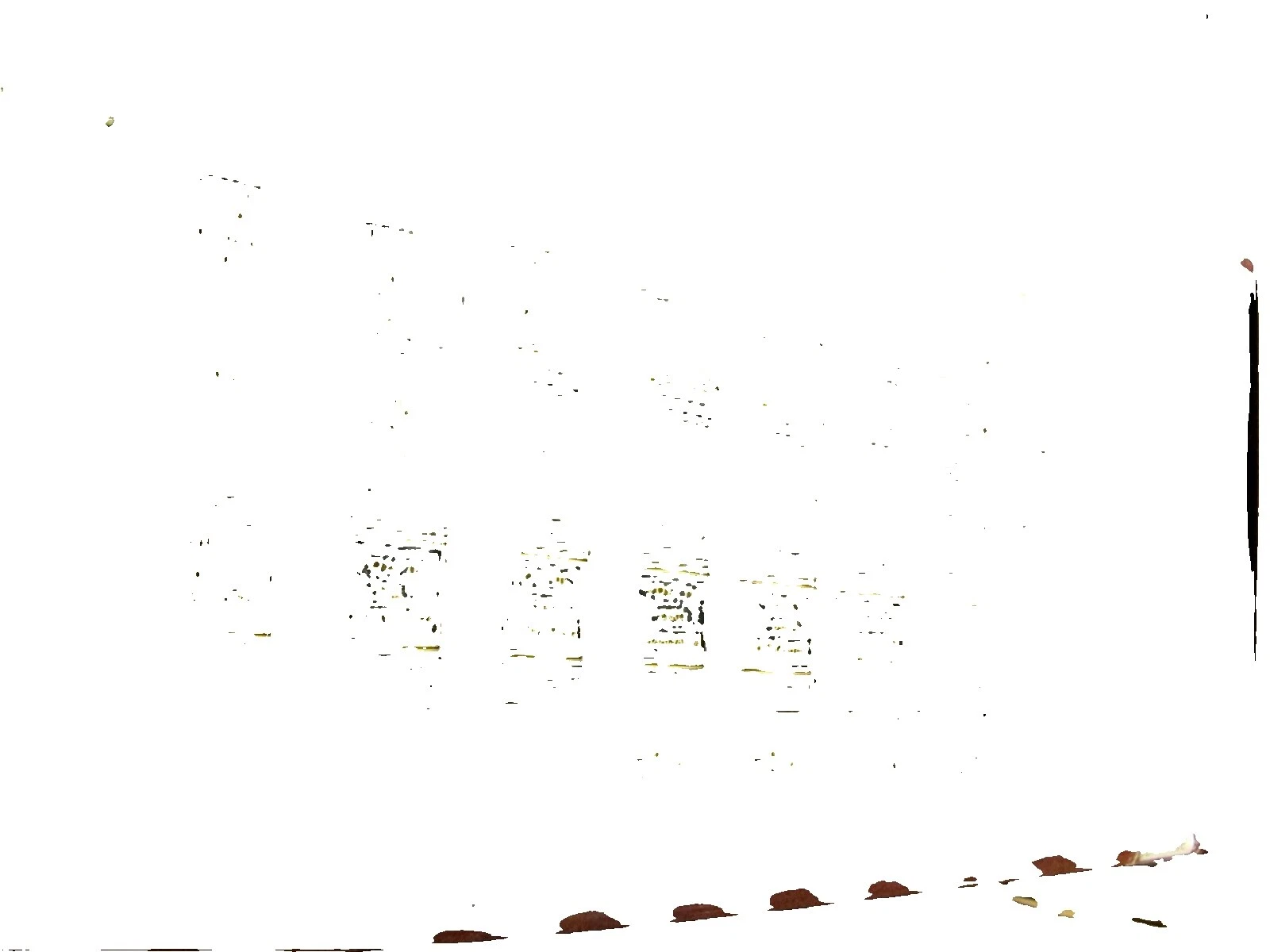 Leather North American Antiquarian & Collectible Books