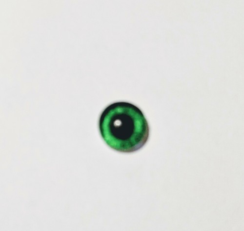 6mm glass cabachon eyes great for taxidermy, needle felting, toy making - 第 11/23 張圖片