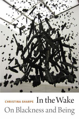 In the Wake: On Blackness And Being - paperback, 0822362945, Christina Sharpe