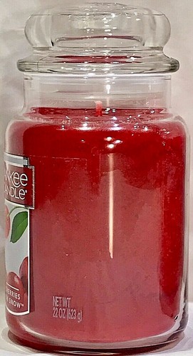 RARE Yankee Candle HOLIDAY 22oz LARGE JAR RETIRED WINTER LIMITD ED SCENTS U PICK - Picture 156 of 230