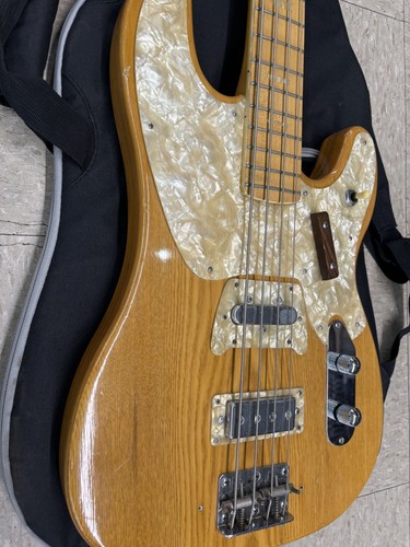 VINTAGE 1970'S AMPEG GEB 750 BIG STUD BASS W/GIG BAG - Picture 4 of 7