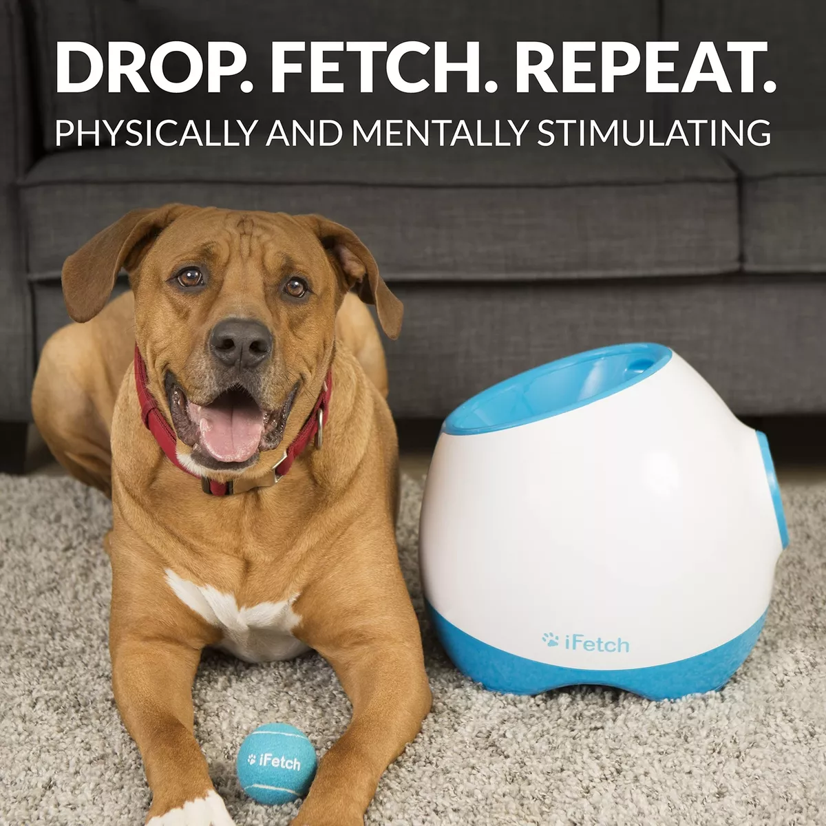 Interactive Ball Thrower For Dogs