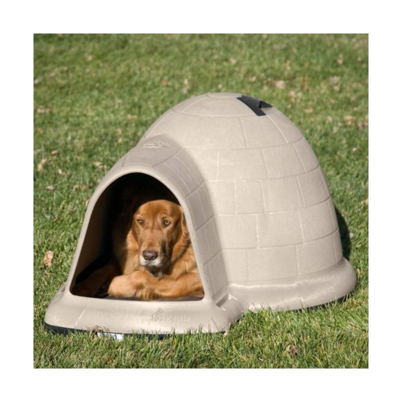 Petmate Indigo Dog House (Igloo Dog House, Made in USA with 90