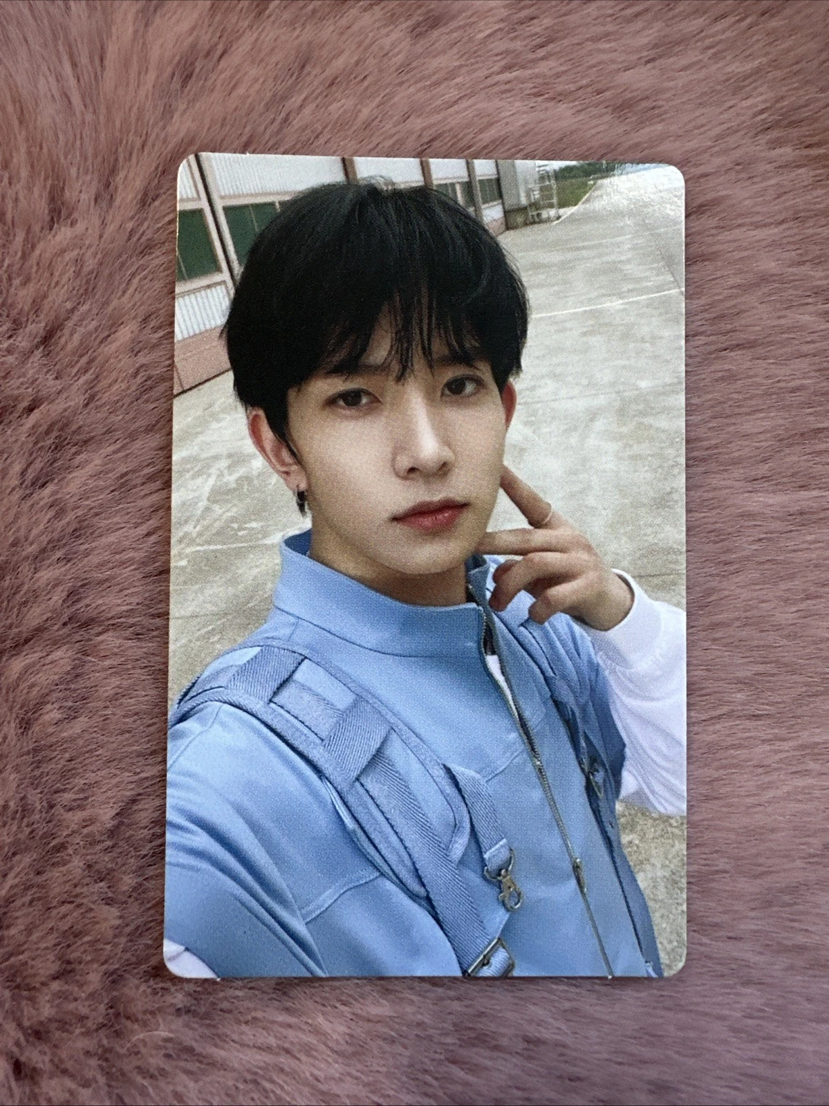 Heeseung - Manifesto : Day 1 Album PC photocard photocard