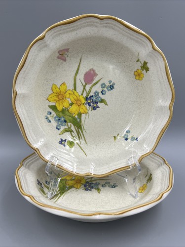 Mikasa Garden Club EARLY SPRING Specked Floral Stoneware Soup Cereal Bowls Set 2
