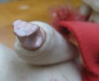 Bild 9 von 10