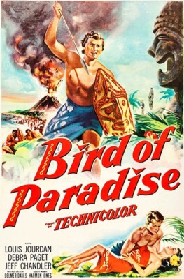 Bird Of Paradise - 1951 - Magnet