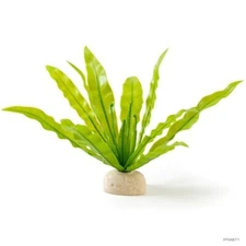 EXO TERRA BIRD'S NEST FERN PLANT - PT-2971