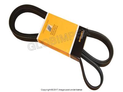 VOLKSWAGEN TOUAREG (2009-2010) Belt CONTITECH OEM +1YEAR WARRANTY