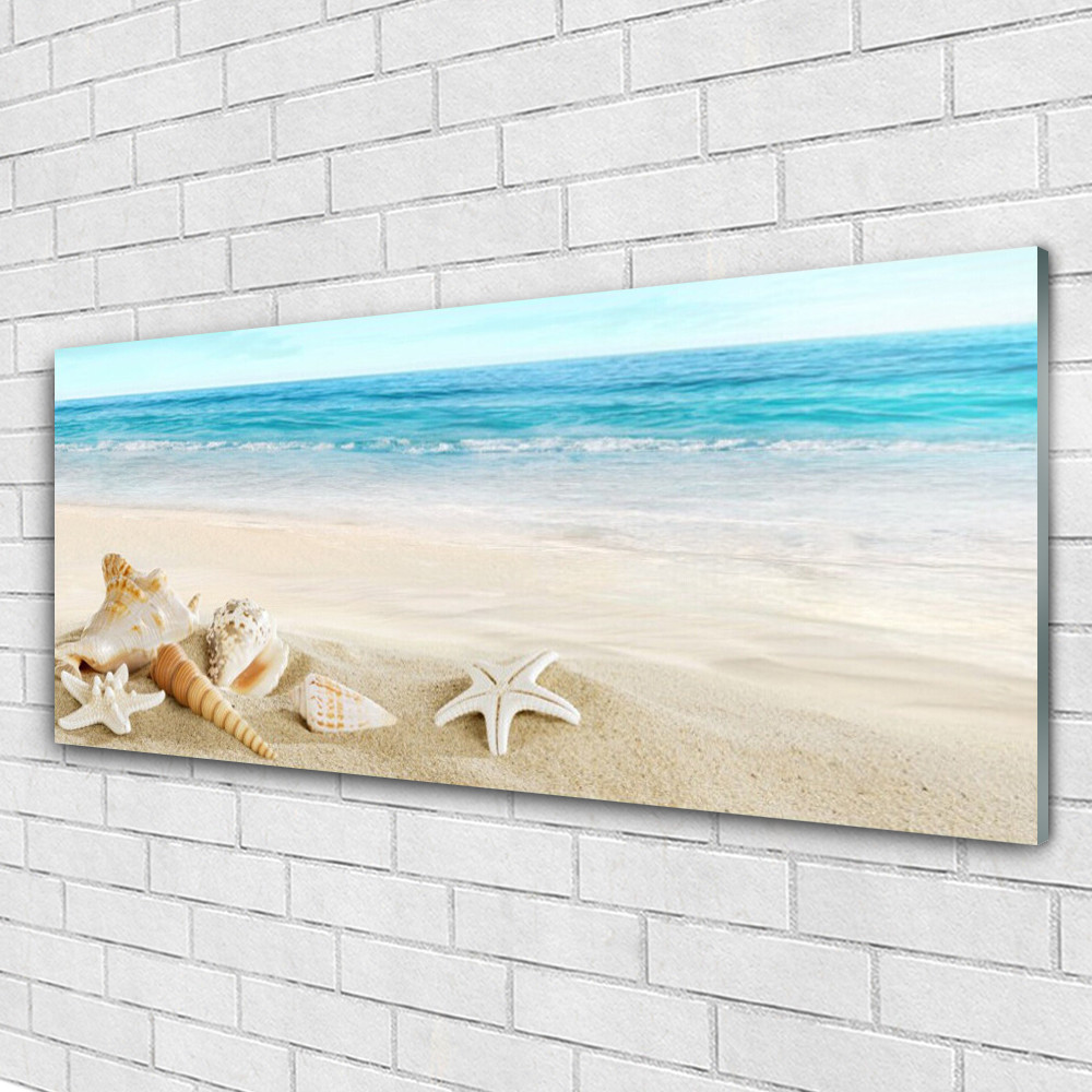 Tableau marin Coquillages Plexiglas 125x50 pour une touche de sérénité marine