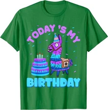 Todays My Birthday Llama Birthday Party Decorations Unisex T-Shirt