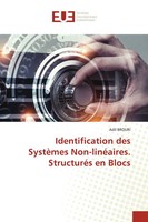 Adil Brouri | Identification Des SystèMes Non-LinéAires. StructuréS En Blocs