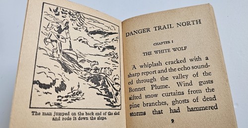 1940 Danger Trail North Big Little Book Western Cowboy Saalfield Publishing 1177 - Picture 9 of 15
