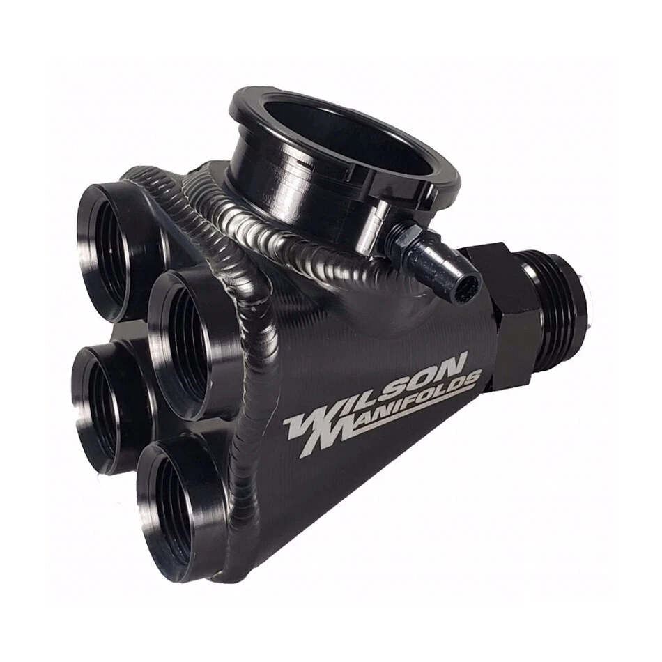 Wilson manifold 2024