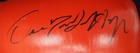 OSCAR DE LA HOYA Autographed Boxing Glove PSA/DNA — photo 3