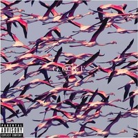 Audio Cd - Deftones - Gore - Reprise Records -D- Neu