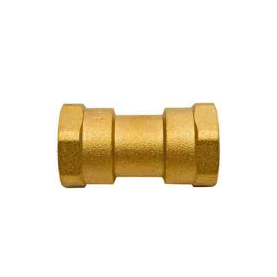 Reliance RWC 3/4'' FBSP Floguard Einzelrückschlagventil FLOW235005