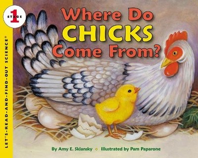 Amy Sklansky Where Do Chick's Come From? (Taschenbuch) (US IMPORT)