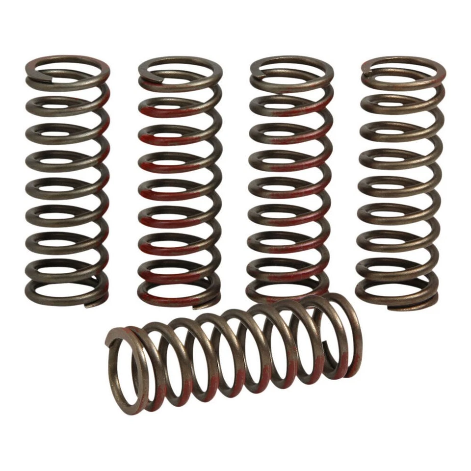 Juego de muelles de embrague Pro Circuit SPRNGS CLTCH CRF250R/X'20 Foto 2 de 4