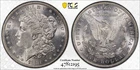 1881 P $1 MORGAN SILVER DOLLAR PCGS MS62 Protected by Gold Shield & TrueView
