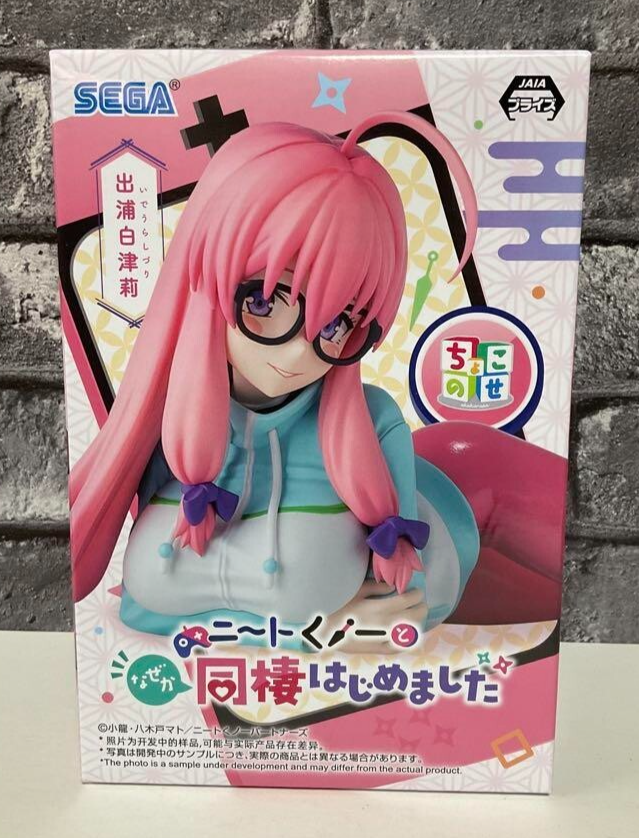 I'm Living with an Otaku NEET Kunoichi !? Chokonose Ideura