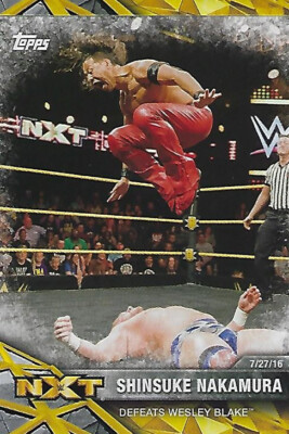 Shinsuke Nakamura 2017 WWE NXT Trading Card #49