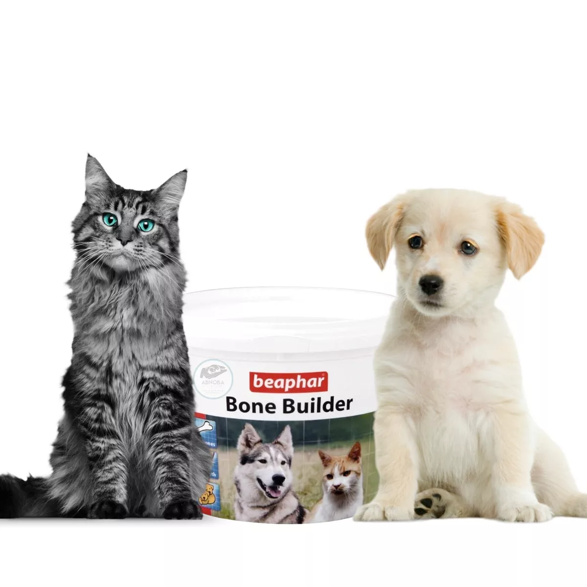 Beaphar Bone Builder healthy bones teeth Dog Cat Pup Pregnant