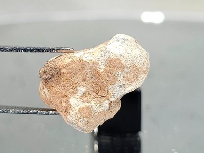 NWA 16520, Lunar (frag. breccia),  4.57g, Meteorite as found, buried sample