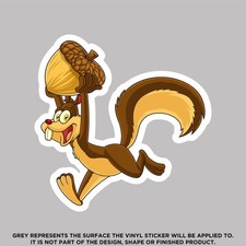 Squirrel With A Nut