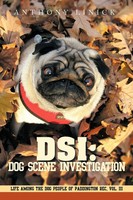 Dsi Anthony Linick Taschenbuch Kartoniert / Broschiert Englisch 2011