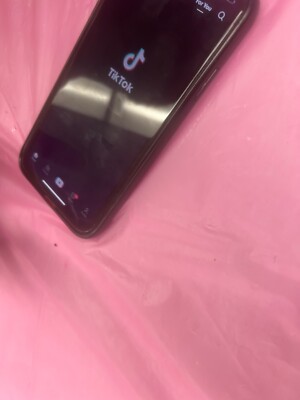 Apple iPhone 13 Pro Max - 256 GB - Blue (Unlocked)