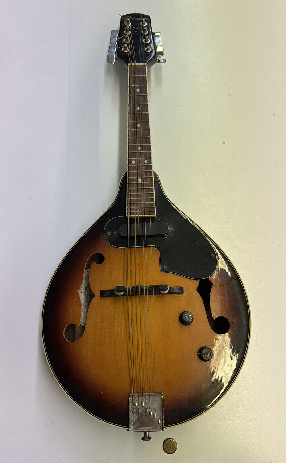 Fender FM-52E Mandolin エレクトリック マンドリン【レア】 - forstec.com