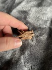Rose Sand Stone”RARE” — photo 5