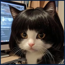 Pet Wig Dog Wig Pet Supplies Halloween Pet Accessories Curly Hair Straight Hair
