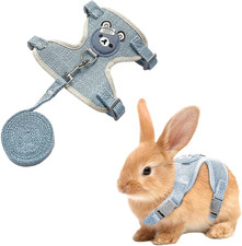 Guinzaglio per Coniglio Nano,Accessori per Conigli,Imbracature,Pettorina Conigli