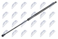 Heckklappen DäMpfer Gasfeder Kofferraum NTY AE-PE-005 FüR Peugeot 206 SW 2E 16V