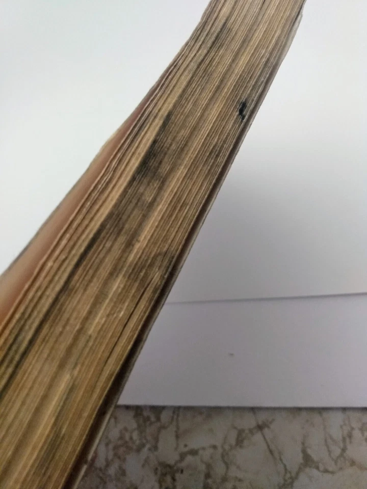 Manual de reparación Haynes para Acura Integra y Legend. Foto 4 de 4