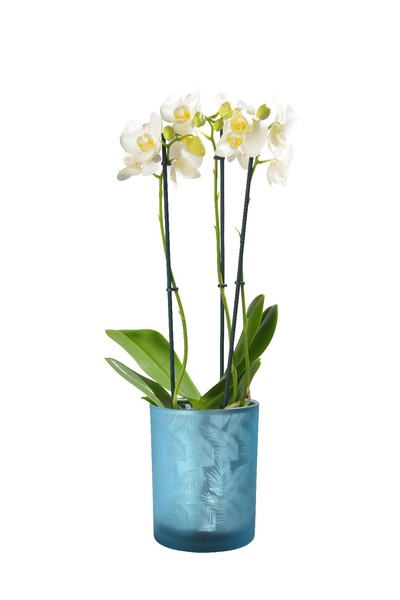 Windlicht Kerzenglas Teelichthalter Kleine Glas Vase Blau TüRkis Silber 10Cm-image