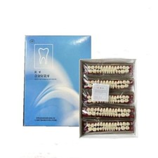 Alloy Pin Porcelain Teeth Dental Materials Colors Shade Guide Upper Teeth 23 US