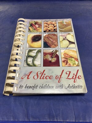 1998 Michigan American Juvenile Arthritis Cookbook AJAO Southfield MI