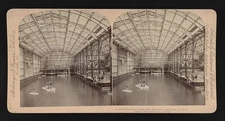 Photo:In the great Sutro Baths, San Francisco, California, U.S.A.