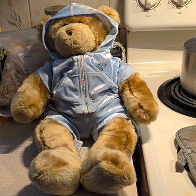 Build-A-Bear Workshop Brown & Beige Plush Bear w/ Light Blue Hoodie Outfit