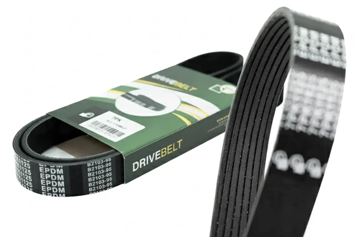 Bga Cinghia Poly-V 7Pk1705 - Immagine 2