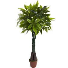 Nearly Natural 4ft. Money Plant (Real Touch)